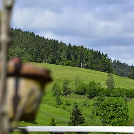 Holiday Hohe Stein Appartement